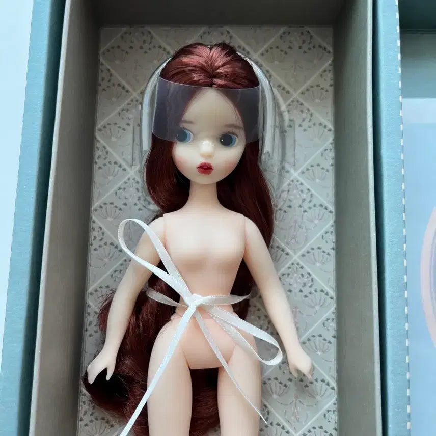 [BUNJANG] 25cm Clara Doll Unsealed / 25코지 클라라 노멀 개봉