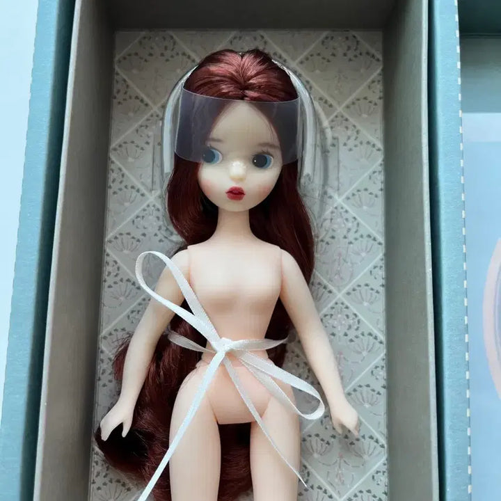 [BUNJANG] 25cm Clara Doll Unsealed / 25코지 클라라 노멀 개봉
