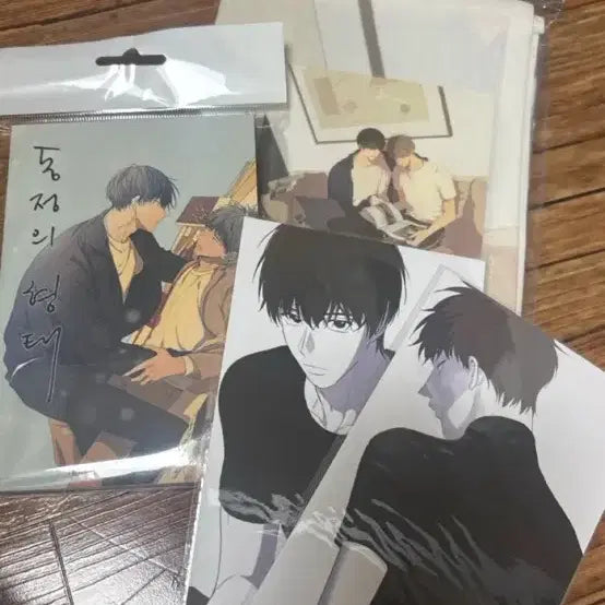 [BUNJANG] Tooniq Form of Affection Donghyeong Postcard Book, Color-Changing Postcards, Fabric Poster Bundle / 투니크 동정의형태 동형 엽서북 변온 엽서 패브릭 포스터 일괄 양도