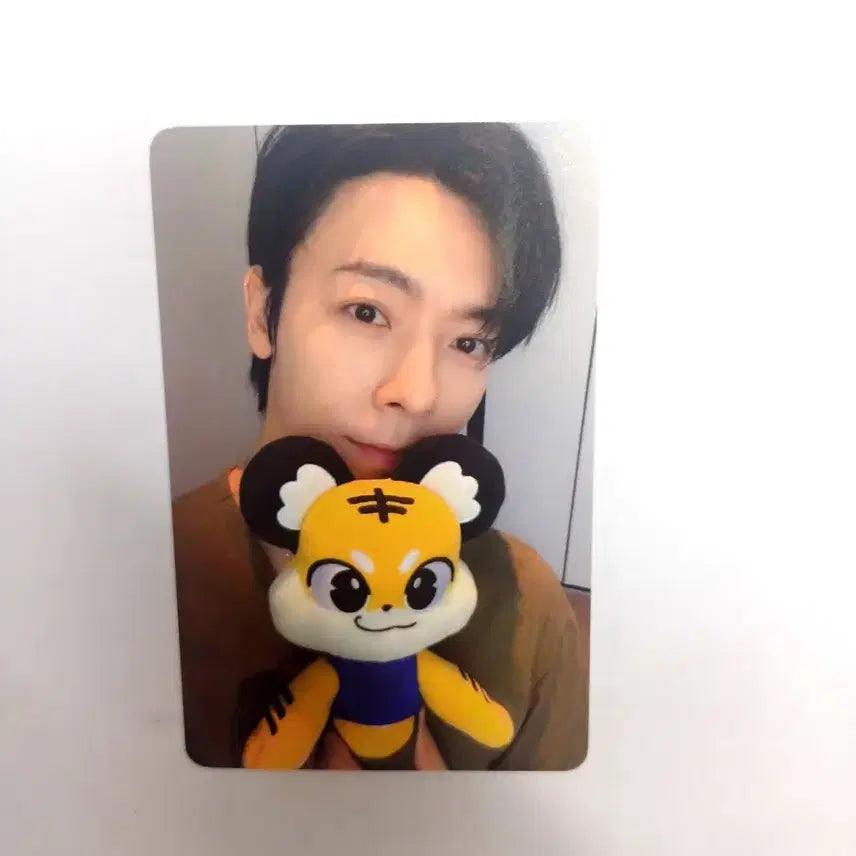 [BUNJANG] Super Junior Donghae Lightstick Cover Photocard / 슈퍼주니어 동해 응원봉 커버 포토카드 포카