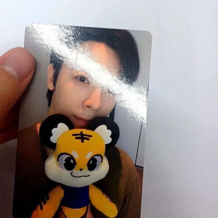 [BUNJANG] Super Junior Donghae Lightstick Cover Photocard / 슈퍼주니어 동해 응원봉 커버 포토카드 포카