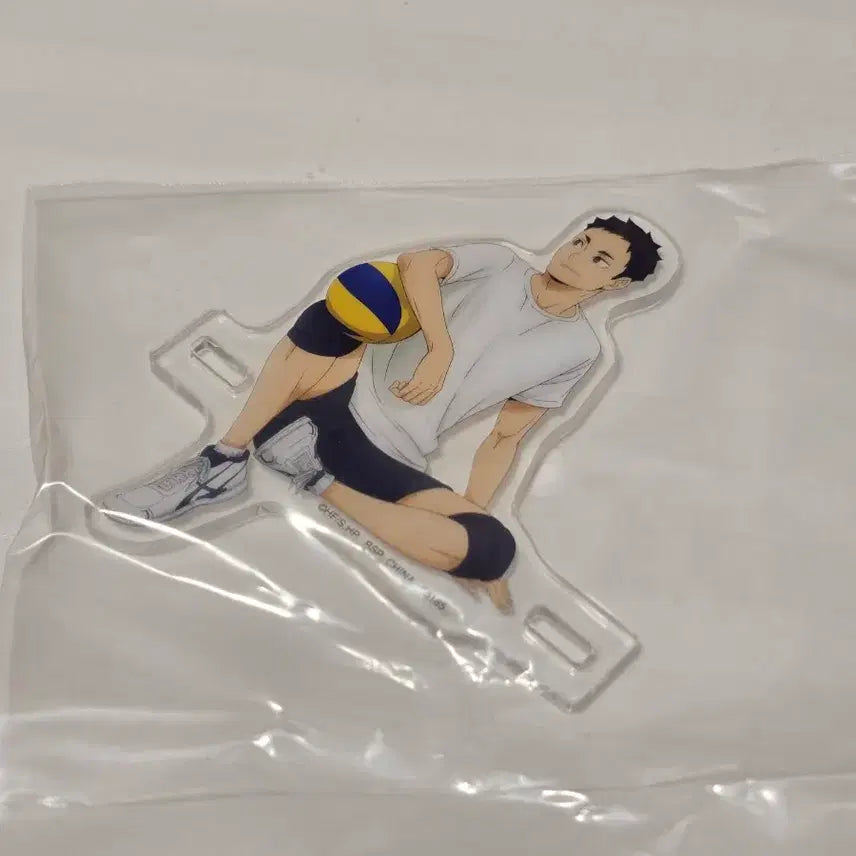 [BUNJANG] Haikyu!! Ichiban Kuji Karasuno&