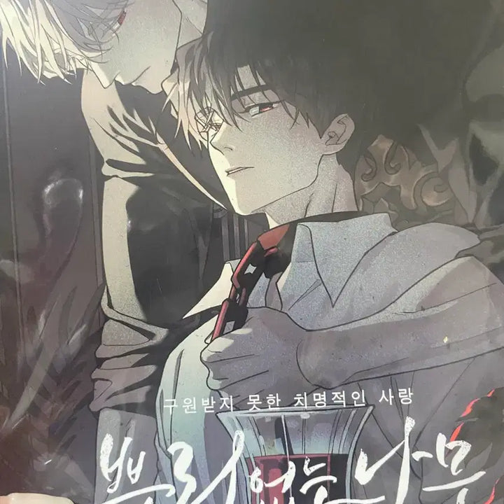 [BUNJANG] Rootless Tree Vol. 4 Jaeimi Shop Exclusive Photocard Poster / 뿌리 없는 나무 4권 재이미샵 특전 포카 포스터