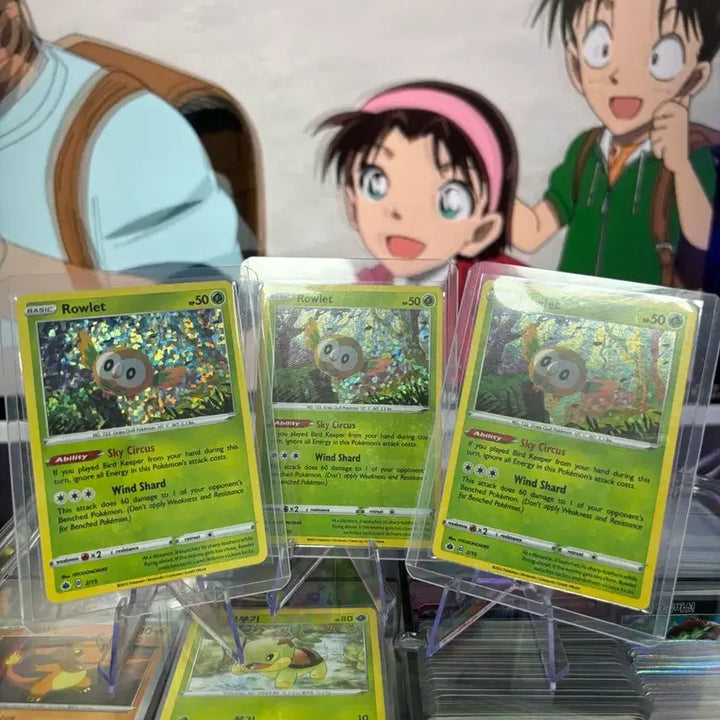 [BUNJANG] Pokemon Cards Bundle Set - North America Edition / 북미 나몰빼미 포켓몬카드 일괄판매