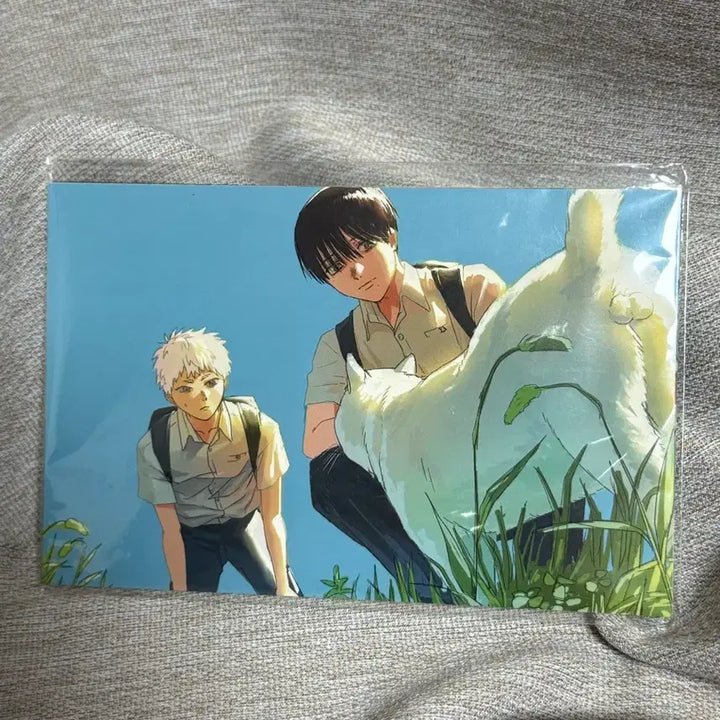 [BUNJANG] Hikaru ga Shinda Natsu Illustrated Postcard Set / 히카루가 죽은 여름 애니메이트 팝업 일러스트 엽서 세트