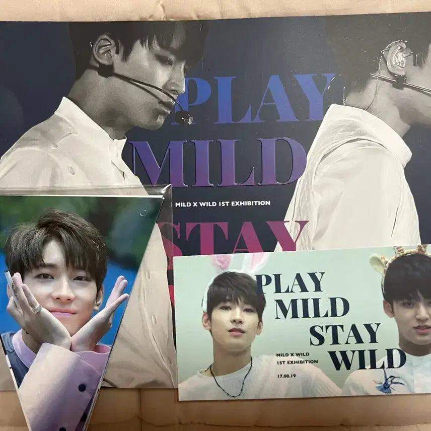[BUNJANG] SEVENTEEN Mingyu Wonwoo Bundle Set / 세븐틴 민원 민규원우 비공굿 일괄