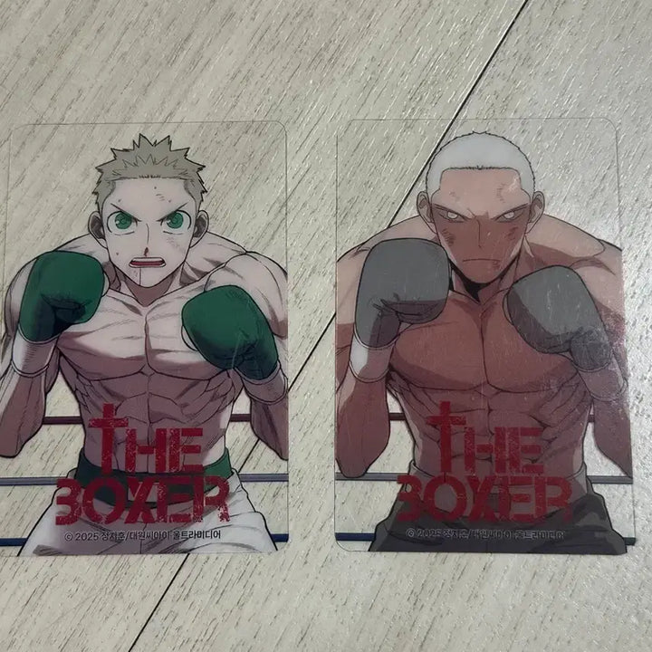 [BUNJANG] The Boxer Manhwa Character Photocard Set (2 Types) / 더복서 만화 포토카드