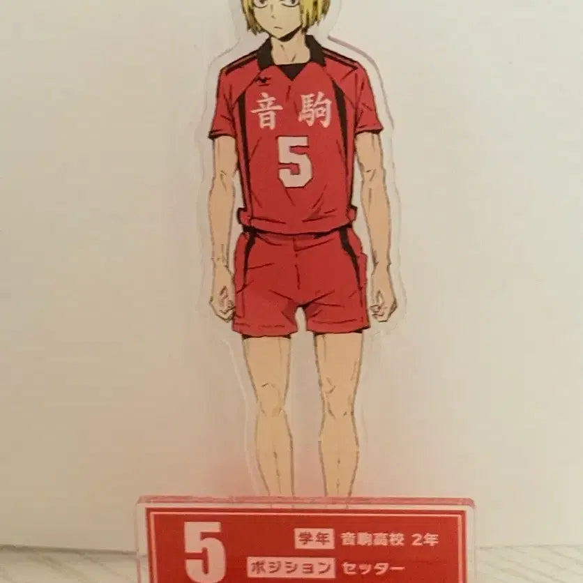 [BUNJANG] Haikyuu!! Kenma Kozume Acrylic Standee / 하이큐 켄마 아크릴 스탠드