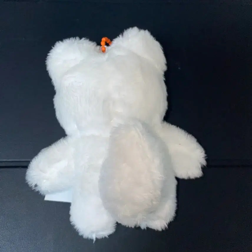 [BUNJANG] NCT Dream Jeno Gendori Doll / 엔시티드림 제노 젠도리 인형