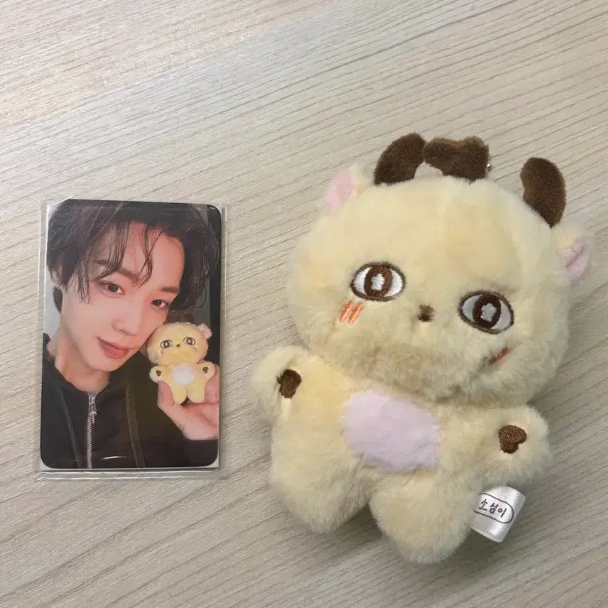 [BUNJANG] Park Jihoon &