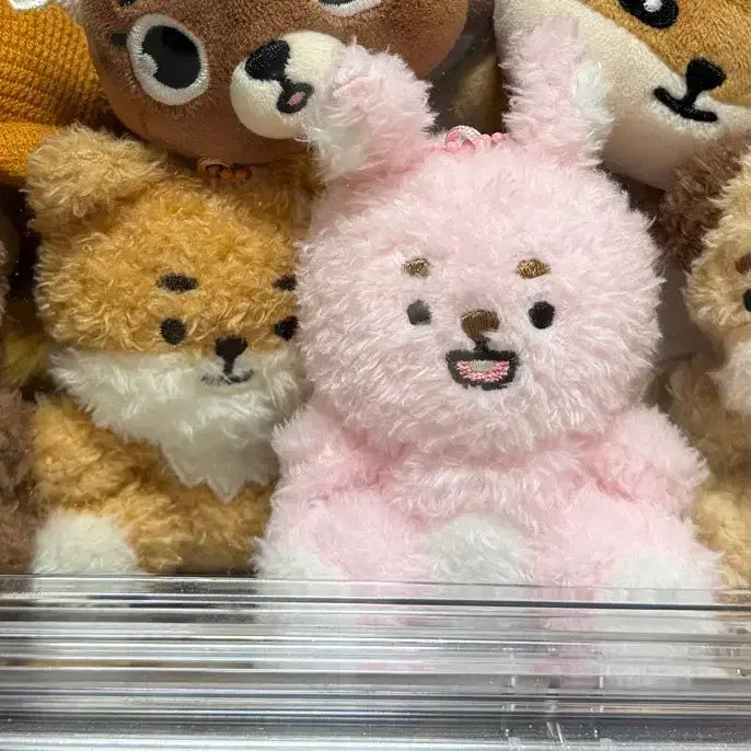 [BUNJANG] Day6 Denimals Sitting Ver. Plush Doll / (급처)데이식스 데니멀즈 앉은멀즈