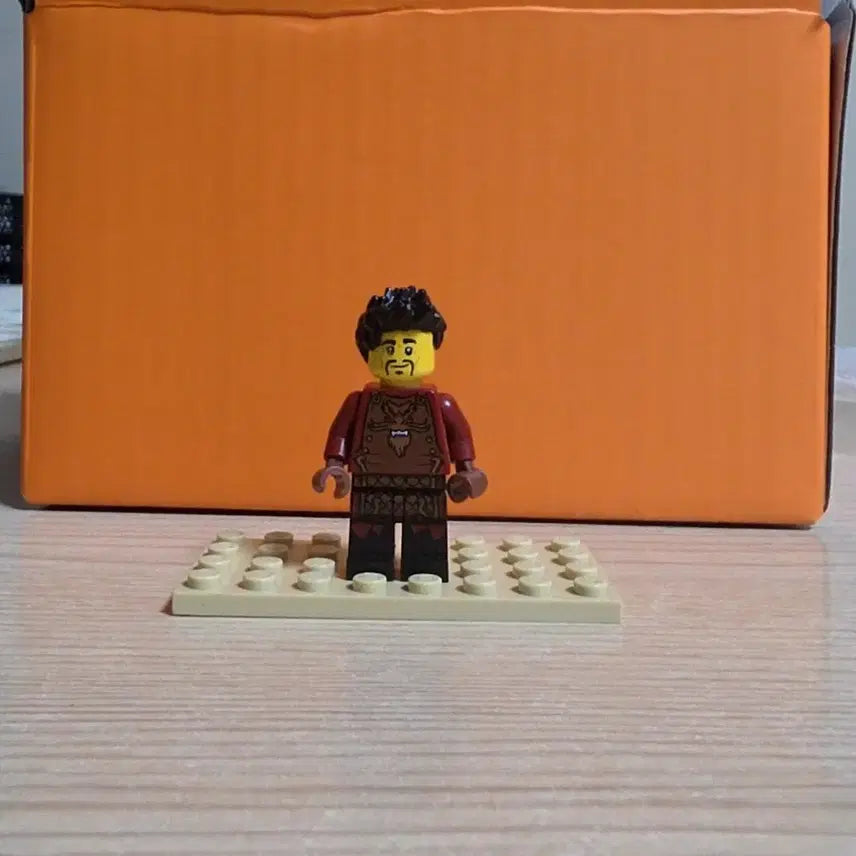 [BUNJANG] LEGO Ninjago Ray / 레고 닌자고 레이
