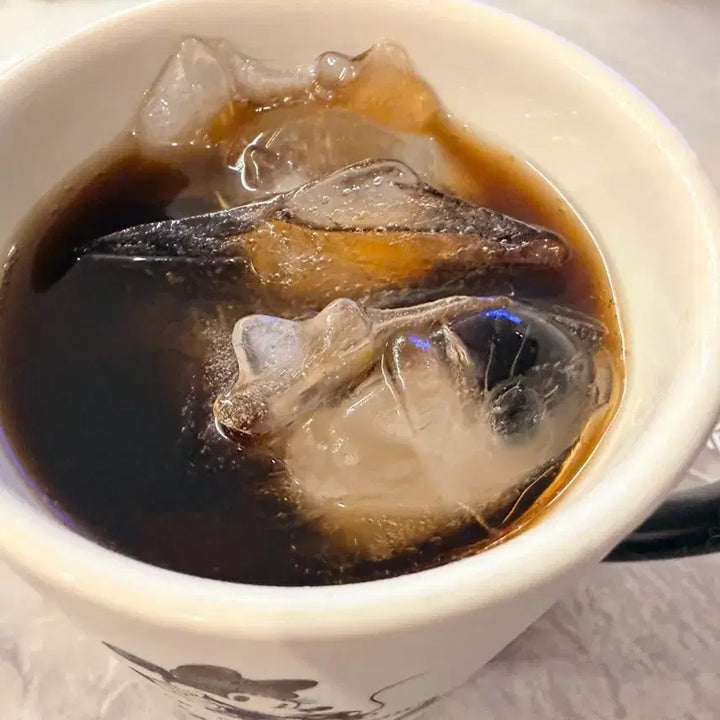 [BUNJANG] Mureungdowon Magikarp Ice Tray / 무릉도원 잉어킹 얼음 트레이