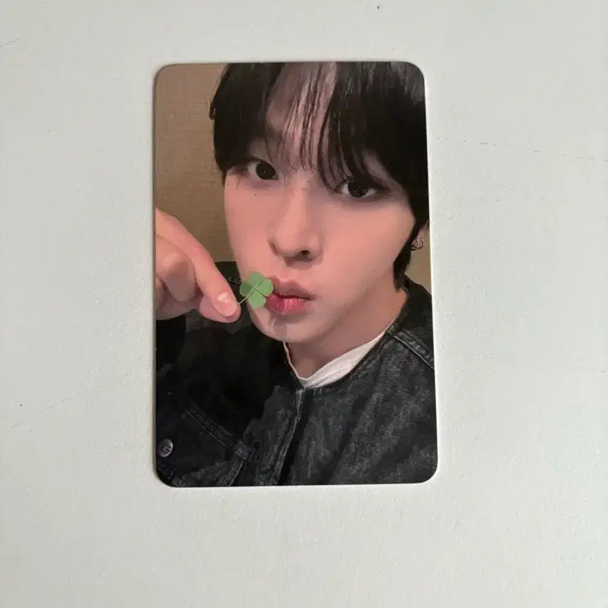 [BUNJANG] NCT WISH Color KETAPO Lucky Draw Riku Photocard / 엔시티 위시 nct wish 컬러 케타포 럭드 리쿠 포카 양도 교환 color