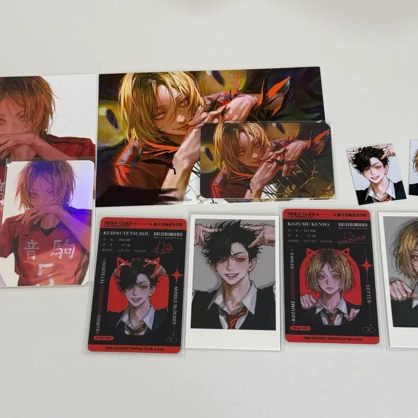 [BUNJANG] Haikyuu!! YK Kuroo Kenma Photocard, Nekocard, Postcard, Photo Card / 하이큐 영큐님 쿠로오 켄마 포토카드 네코카드 엽서 포카 증사