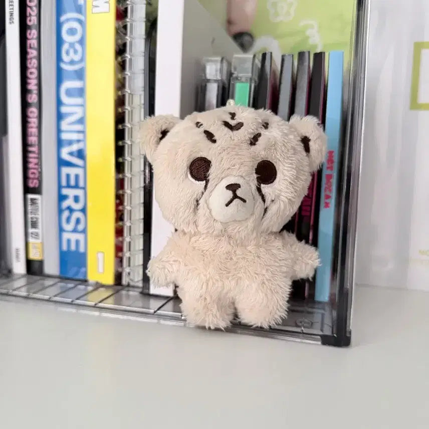 [BUNJANG] Chitaree Doll / 치타리 인형