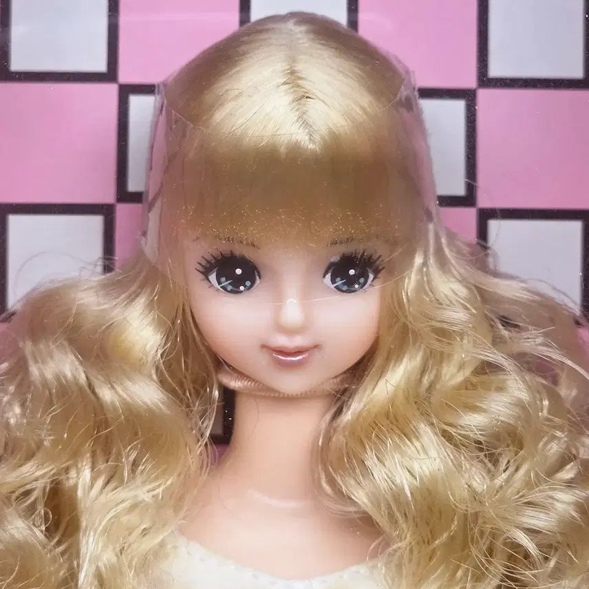 [BUNJANG] Licca Castle Small Shop Jenne Friend Mirai Doll / licca castle 리카캐슬 스몰숍 제니프렌드 미라이