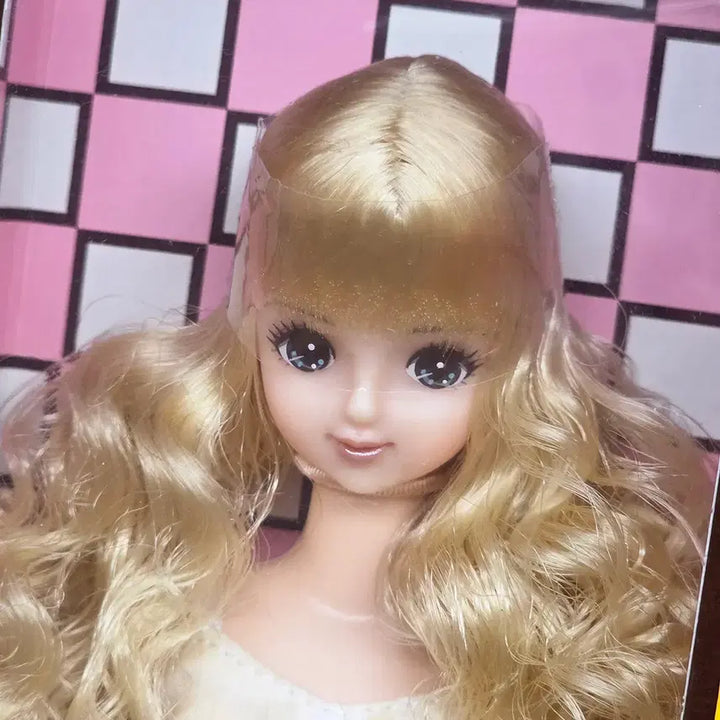 [BUNJANG] Licca Castle Small Shop Jenne Friend Mirai Doll / licca castle 리카캐슬 스몰숍 제니프렌드 미라이