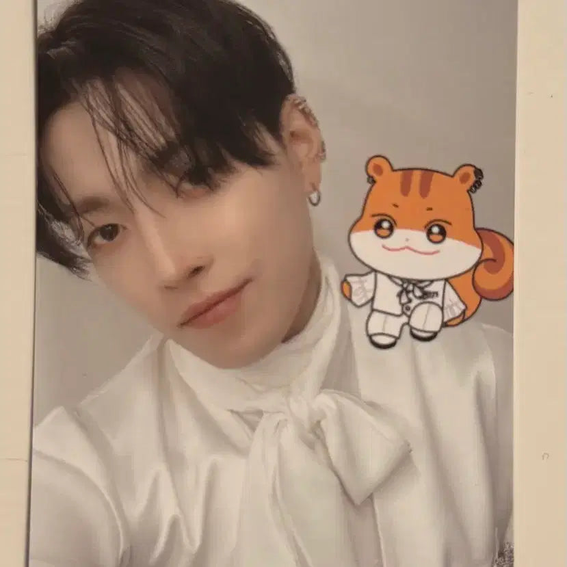 [BUNJANG] ATEEZ Aniteez Random Trading Photocard Hongjoong / 에이티즈 애니티즈 ateez aniteez 포카 랜덤 트레이딩 카드