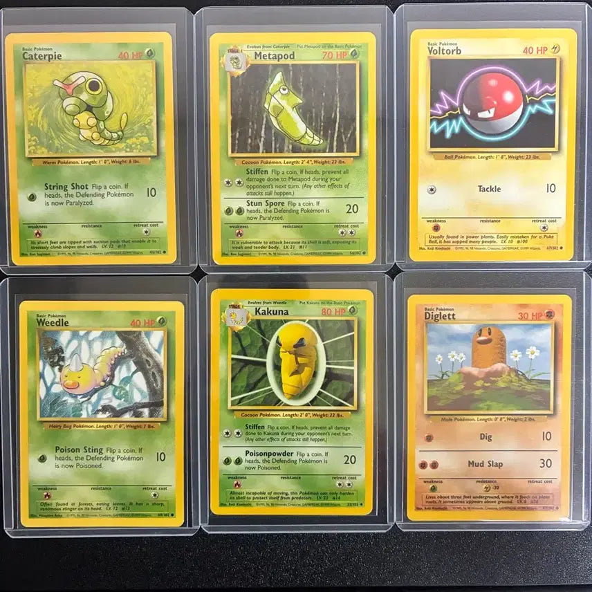 [BUNJANG] 1999 English Edition Vintage Pokémon Cards Set / 1999 영판 올드백 빈티지 포켓몬카드