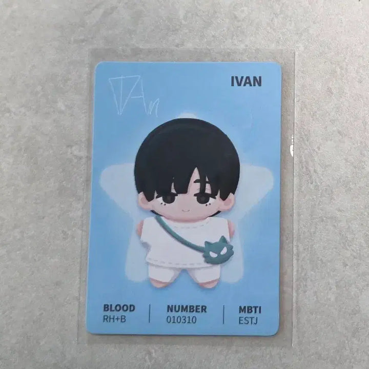 [BUNJANG] A-ST E-Van Anact Garden Doll / 에이스테 이반 아낙트가든 인형