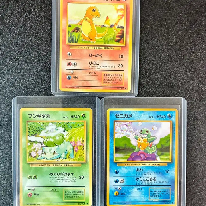 [BUNJANG] 1996 Japanese Vintage Pokemon Cards Charmander, Bulbasaur, Squirtle Set / 1996 일판 파이리 이상해씨 꼬부기 빈티지 포켓몬카드