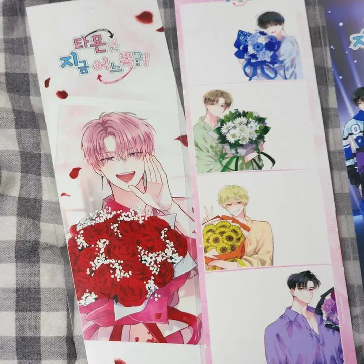 [BUNJANG] Tamon-gun Bundle Set Photoism Photocard / *(일괄) 타몬군 지금 어느쪽 포토이즘 포토카드