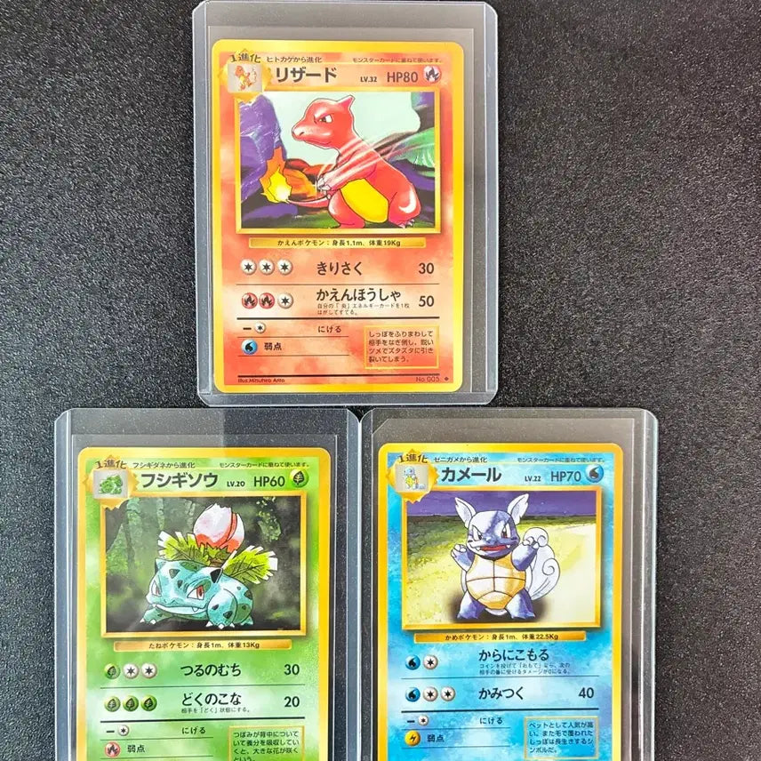 [BUNJANG] Vintage Pokémon Card Bundle - Lizard (Charmeleon), Oddish (Vaporion), Squirtle (Blastoise) - 1996 Japanese Edition / 1996 일판 리자드 이상해풀 어니부기 빈티지 포켓몬카드