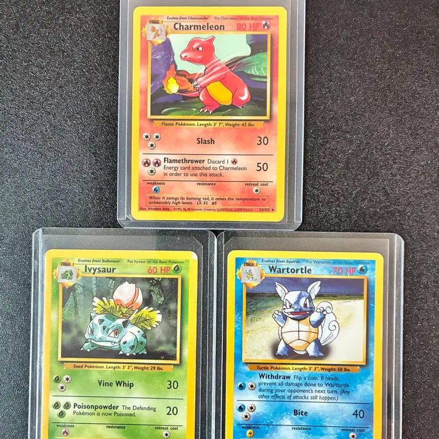 [BUNJANG] 1999 English Vintage Pokemon Cards - Charizard, Venusaur, Blastoise / 1999 영판 리자드 이상해풀 어니부기 빈티지 포켓몬카드