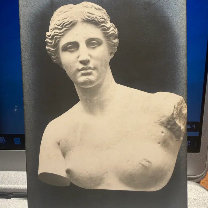 [BUNJANG] 1910s Venus de Milo Photo Archive - Silver Gelatin Print / 1910년 - 루브르 마스터피스 밀로 비너스 포토 아카이브 - 에디션 사진
