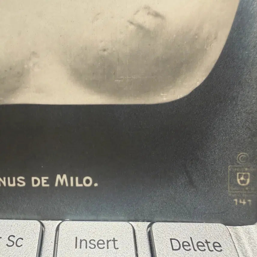 [BUNJANG] 1910s Venus de Milo Photo Archive - Silver Gelatin Print / 1910년 - 루브르 마스터피스 밀로 비너스 포토 아카이브 - 에디션 사진