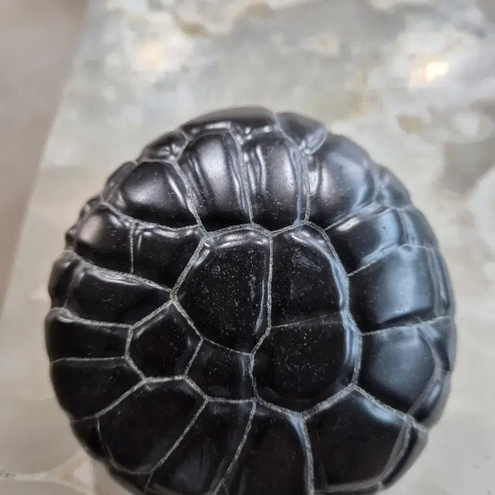 [BUNJANG] Turtle Pattern Stone (10-11cm) / 거북문석 10~11~5.5