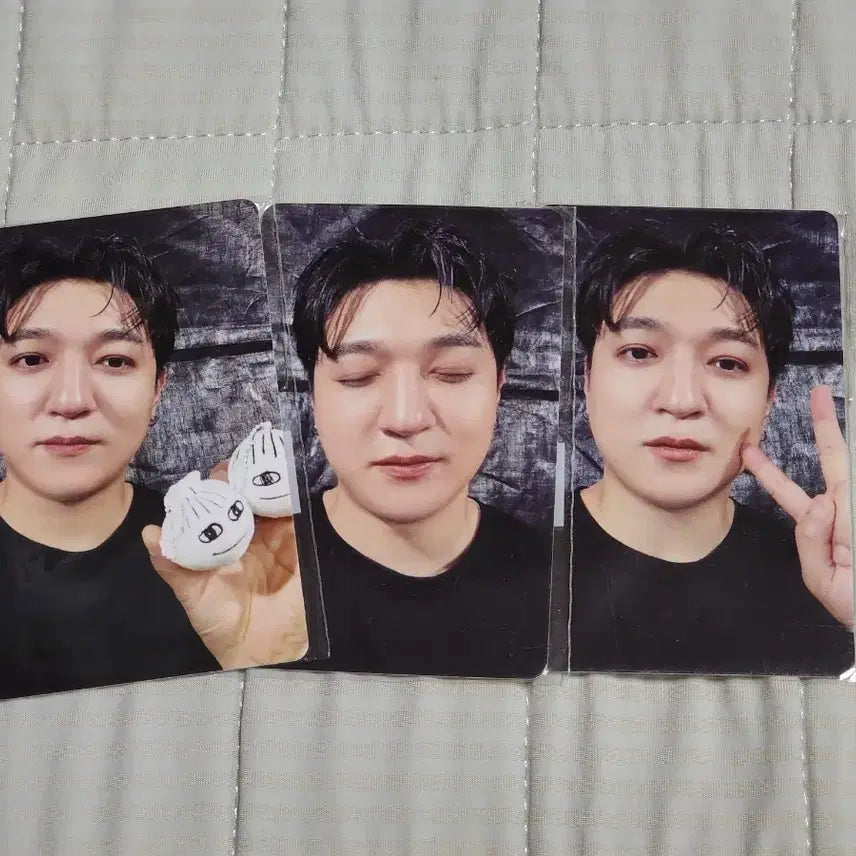 [BUNJANG] DAY6 Sungjin Jjin-iya Photocard Bundle Set / 데이식스 성진 찐이야 포카