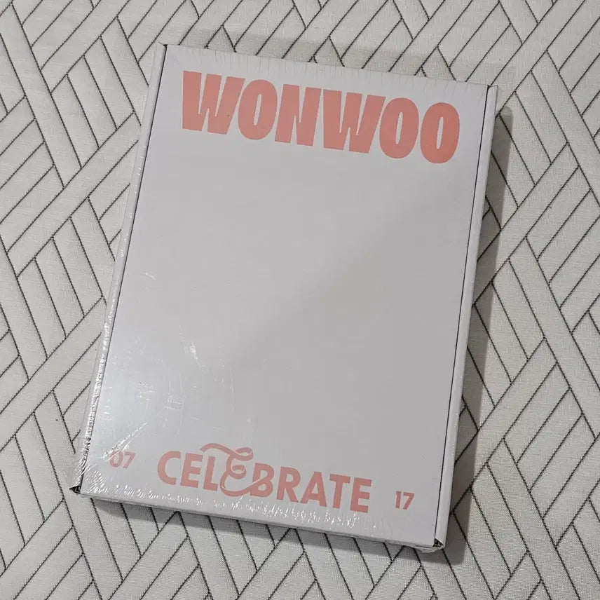 [BUNJANG] SEVENTEEN Wonwoo Birthday Box ver.3 / 세븐틴 원우 생일박스 미개봉 양도 ver3