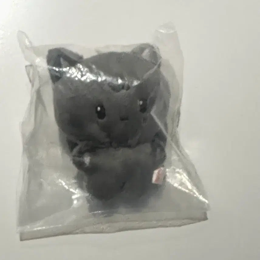[BUNJANG] Tiny Anities Wooyoong Cat Plush / 타이니 애니티즈 우요냥
