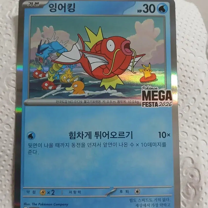 [BUNJANG] Gyarados Promo Card / 잉어킹 프로모 팝니다