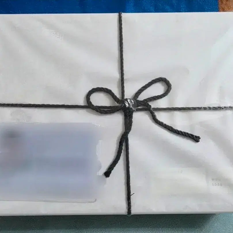 [BUNJANG] Byun Woo Seok 1st Fanclub Membership Kit / 변우석 1기 팬클럽 멤버쉽 키트 양도