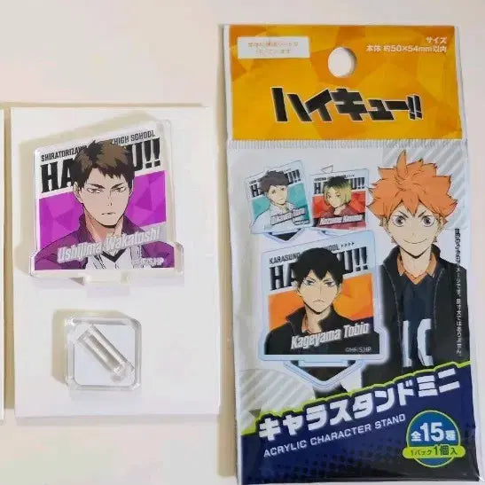 [BUNJANG] Haikyuu!! Wakatoshi Ushijima Mini Acrylic Character Stand New / (새상품) 하이큐 아크릴 캐릭터 스탠드 미니 우시지마 와카토시