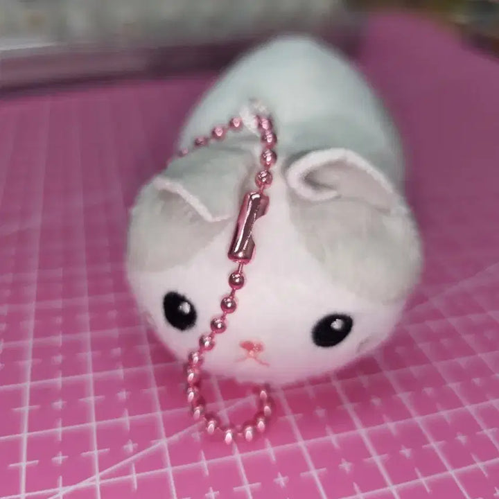 [BUNJANG] Cat Poop Gacha Figure / 고양이 똥인형 가챠