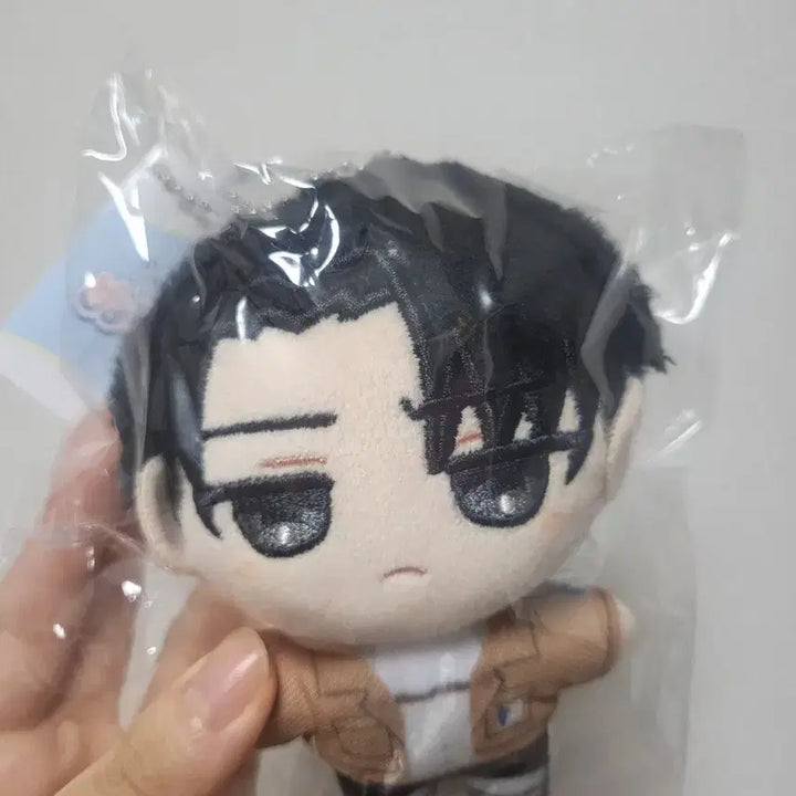 [BUNJANG] Attack on Titan Levi Ackerman Plush Doll / [미개봉 새상품] 진격의 거인 리바이 펄(팔) 인형 누이