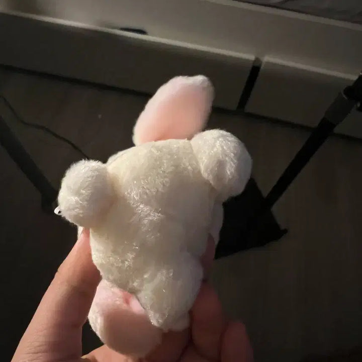 [BUNJANG] Amuse Lotti Rabbit Plush Doll Vintage / 어뮤즈 롯삐 인형 토끼 빈티지 인형