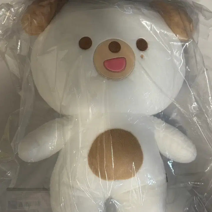 [BUNJANG] Giant Petite Merz Cushion &amp; Money Set / 자이언트 쁘띠멀즈 , 방석 돈 세트 원가이하 양도