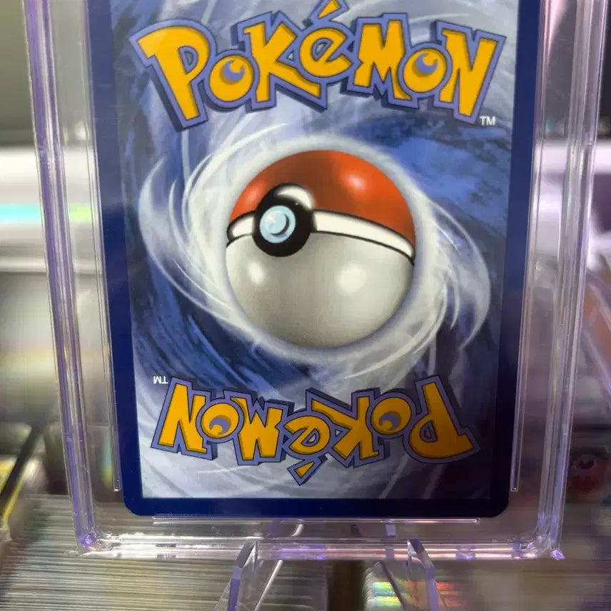 [BUNJANG] Pikachu Pokemon Card - North America Edition / 오늘할인 북미 피카츄포켓몬카드 등카 10판매