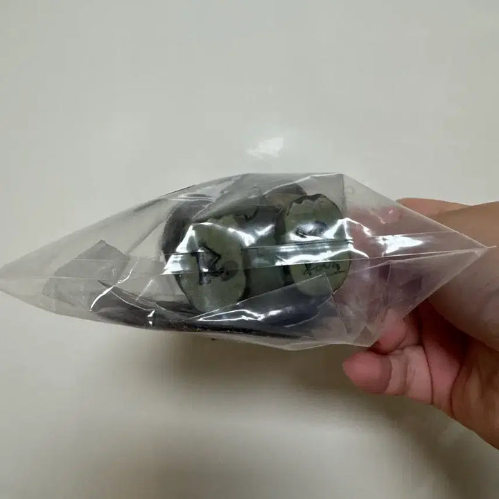 [BUNJANG] Robin Studio Art Toy Plant Figure / Robin studio arttoy 아트토이