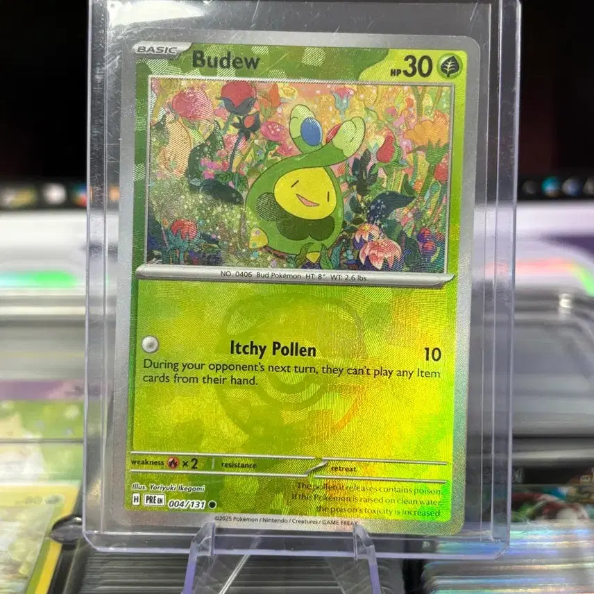 [BUNJANG] Pokemon Card Master Ball North America / 북미 꼬몽울 마스터볼 포켓몬카드