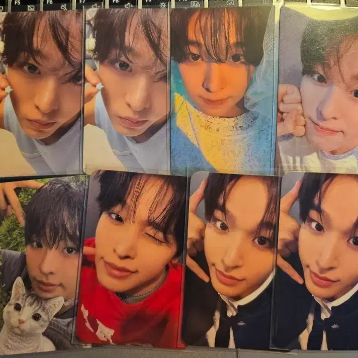 [BUNJANG] NCT WISH Riku Photocard Bundle Set / 엔시티 위시 리쿠 포카 일괄 양도