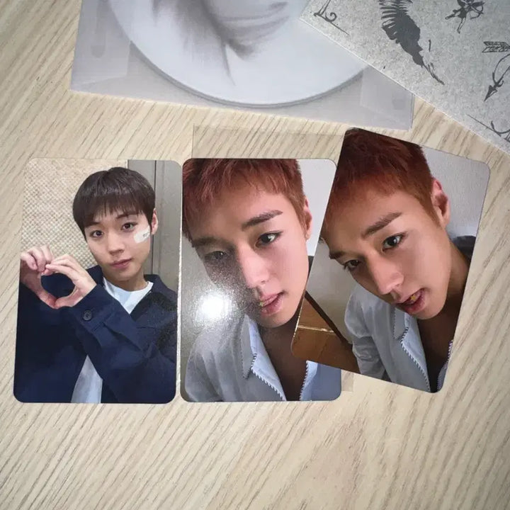 [BUNJANG] Park Ji Hoon REFLECT Album / 박지훈 REFLECT 앨범