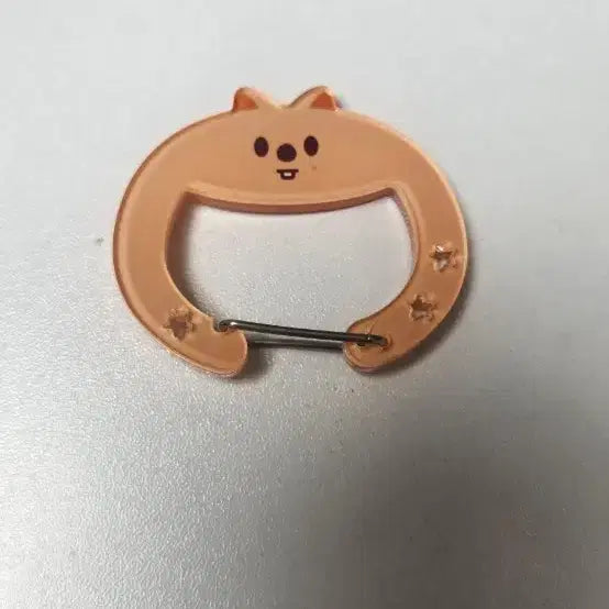[BUNJANG] SKIZO Acrylic Carabiner / 스키주 아크릴 카라비너 한쿼카