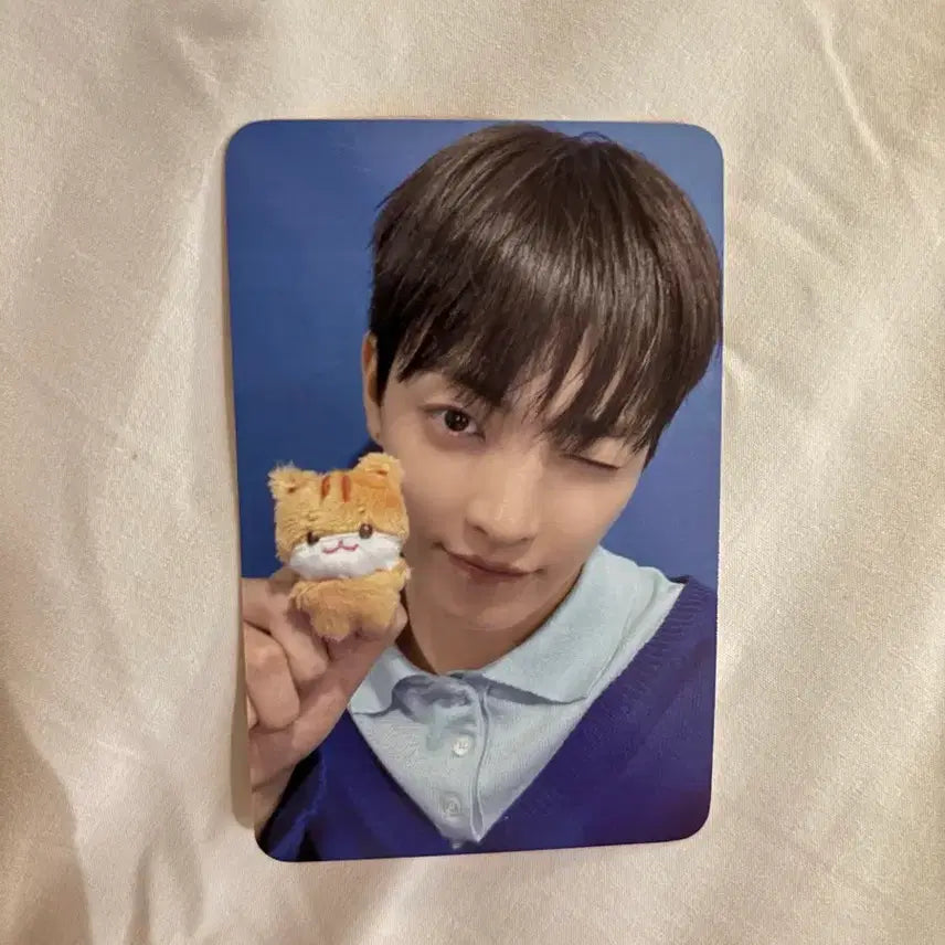 [BUNJANG] ATEEZ Tiny Mini Anitez Seonghwa Jjongrami Photocard / 에이티즈 타이니 미니 애니티즈 포카 홍중 쭝라미