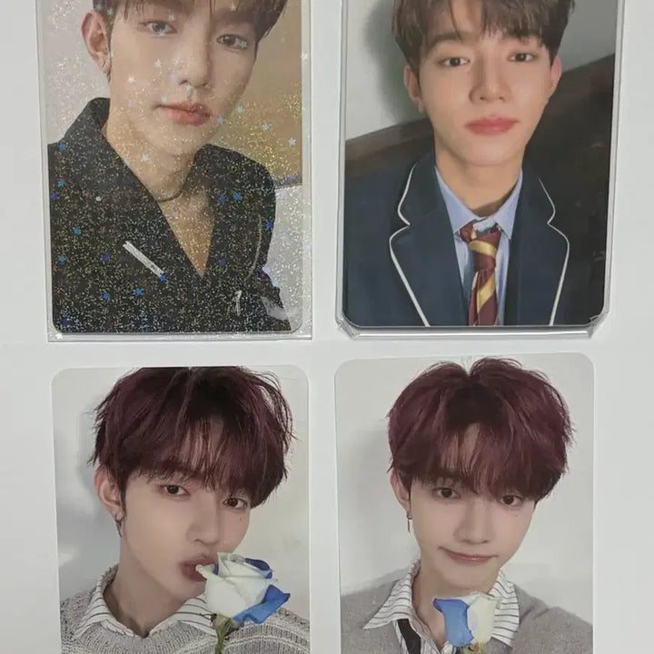 [BUNJANG] ZB1 Photocard / 제베원 포카